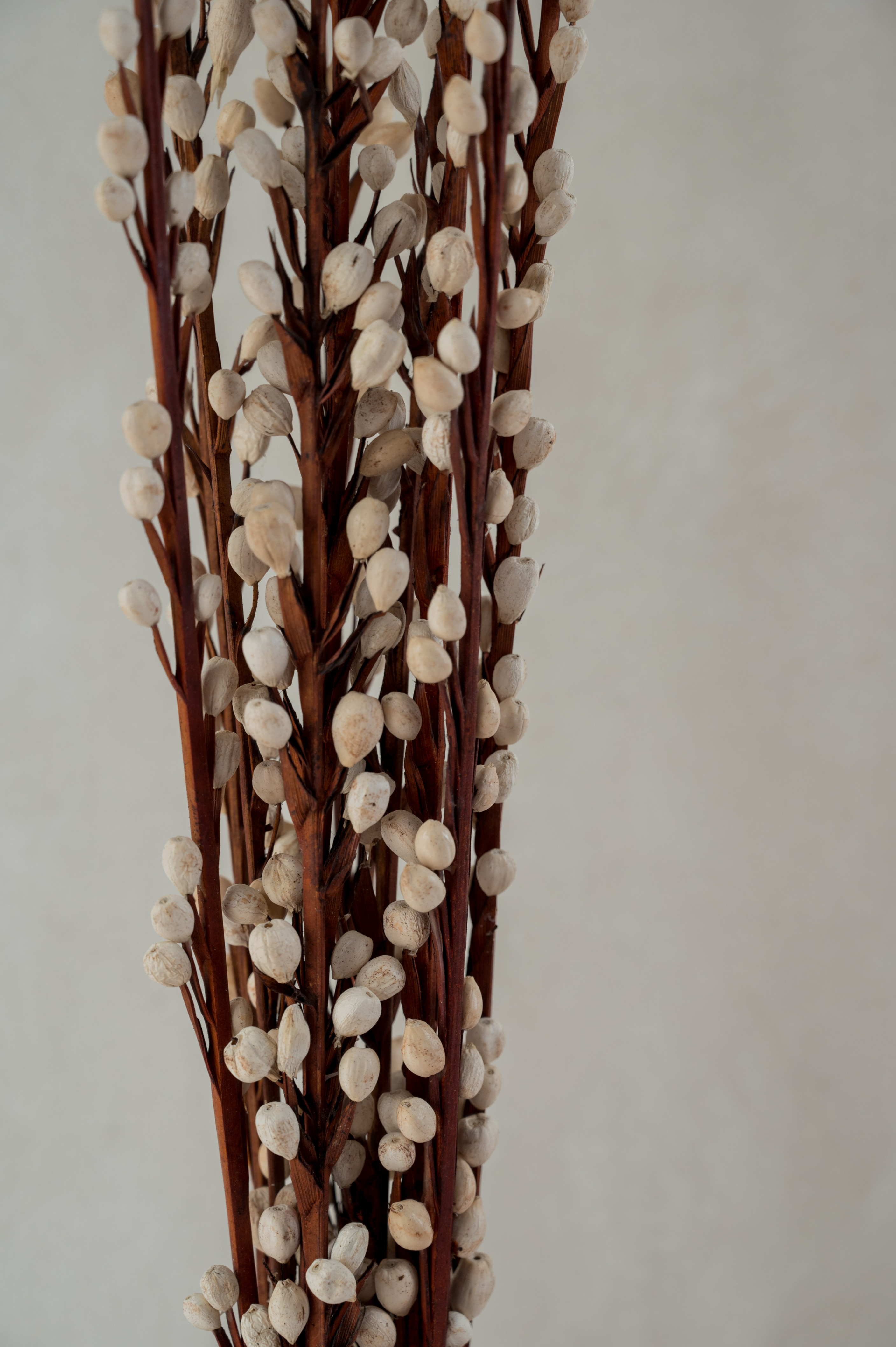 Pearl Stick (Set of 6 stems)