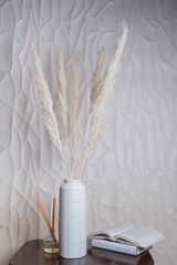 Pampas Cream (Set of 10 stems)