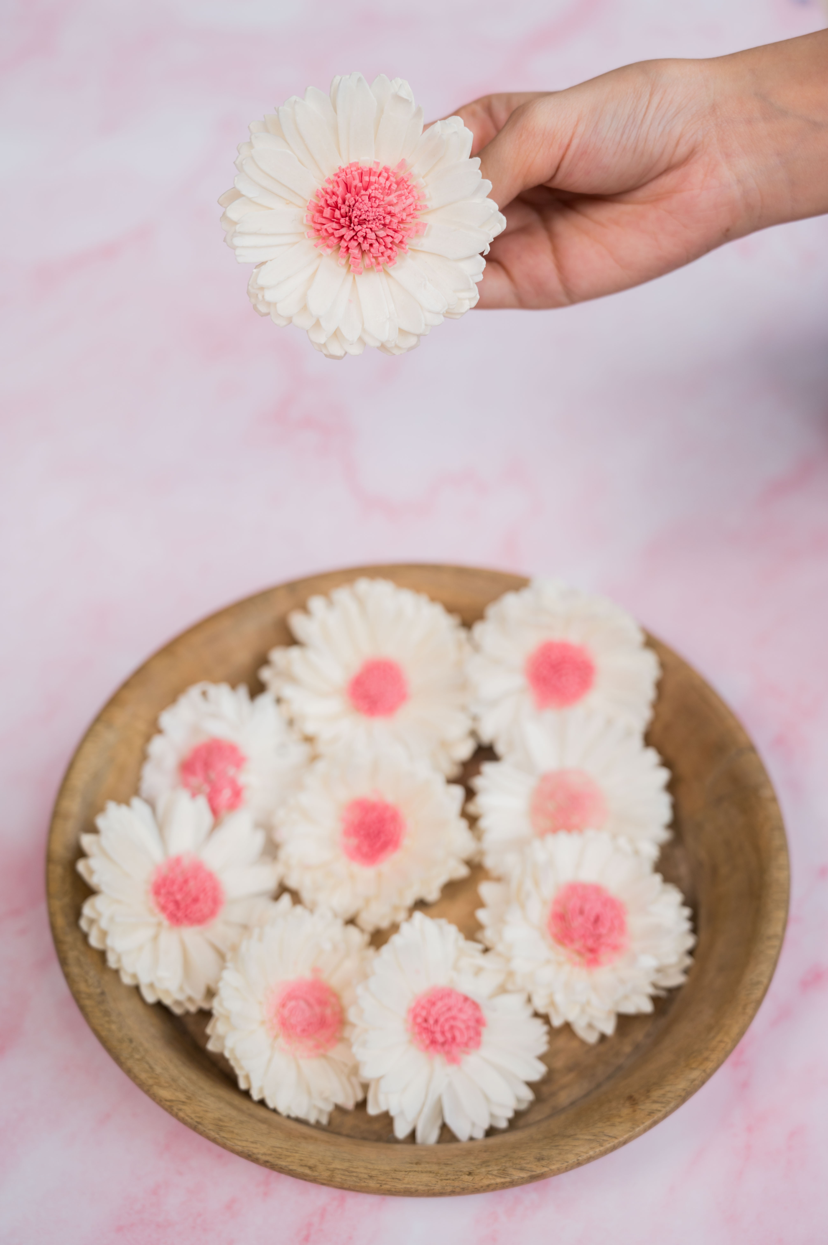 Pop of Pink Sola Flowers (Pack of 10)