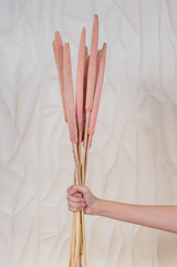 Millet Sticks Pink (Set of 10 stems)