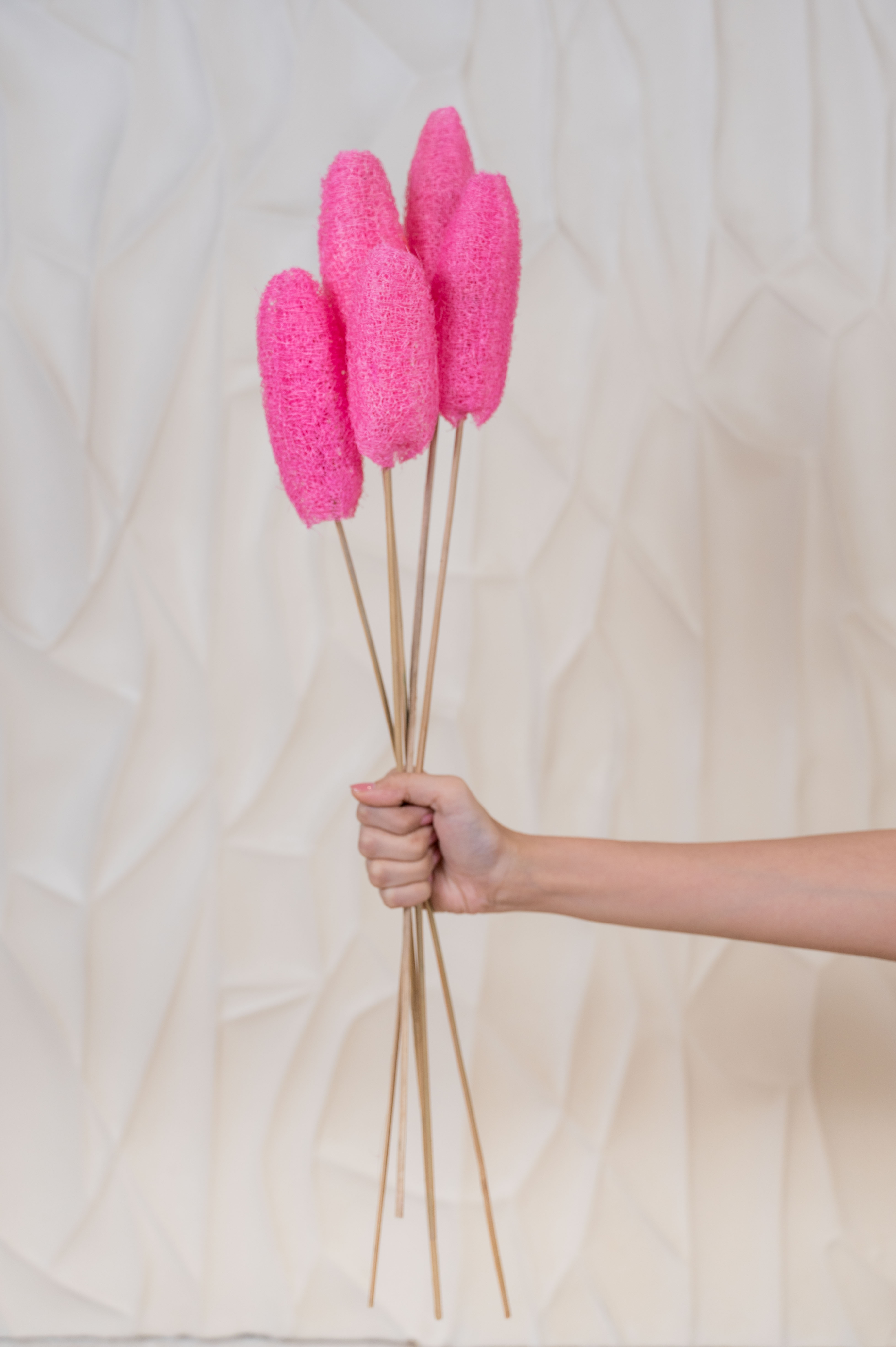 Pink Luffa on Stem (Set of 5 stems)