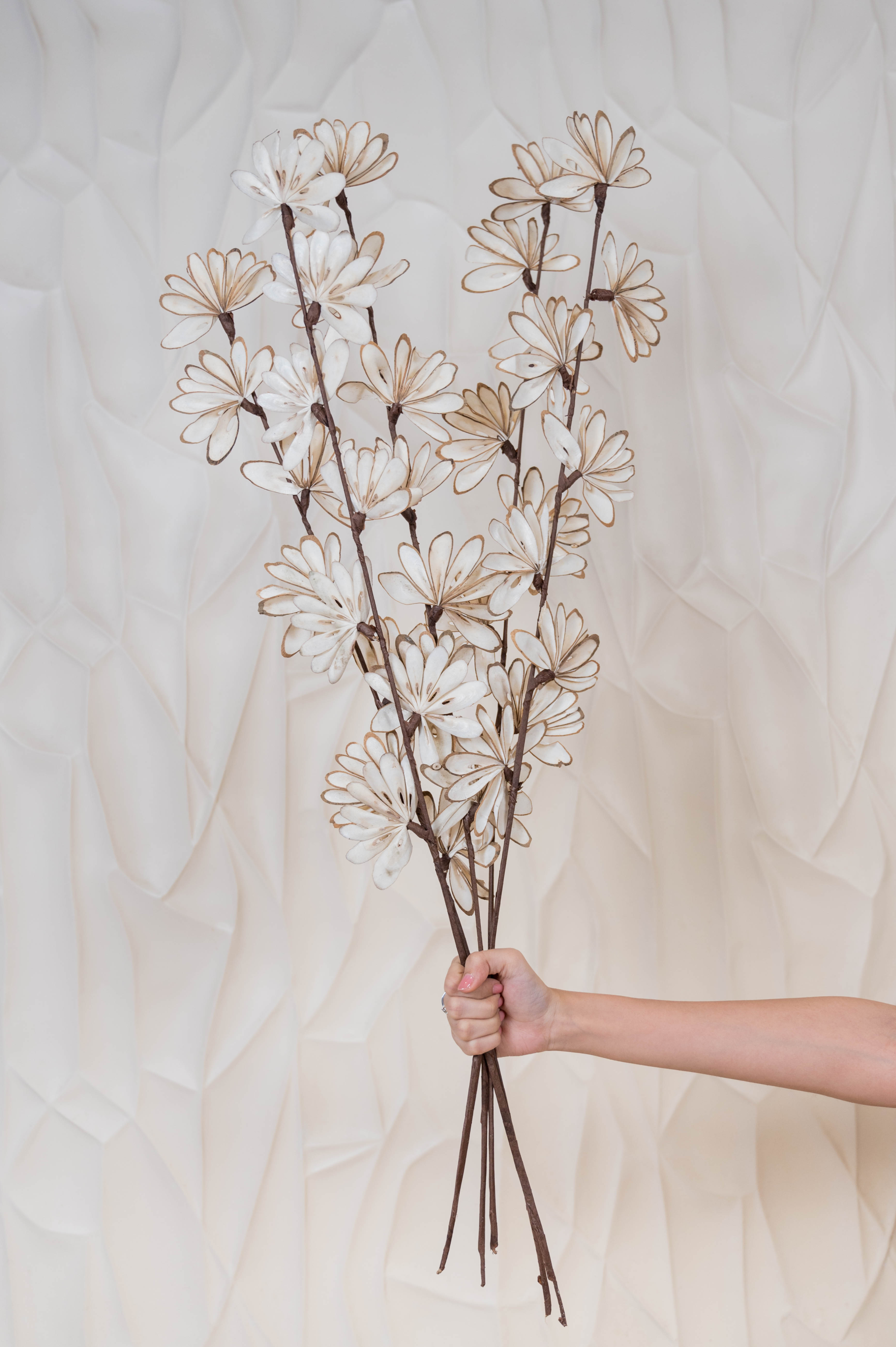 Flora Charm Sola Flowers (Set of 5 stems)