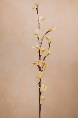 Cremé SpringTime Stems (Set of 3 stems)