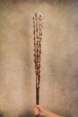 Pearl Stick (Set of 6 stems)