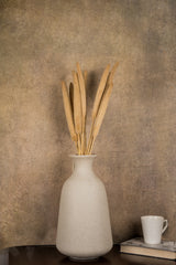 Millet Sticks Cream (Set of 10 stems)