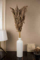 Pampas Natural (Set of 10 stems)